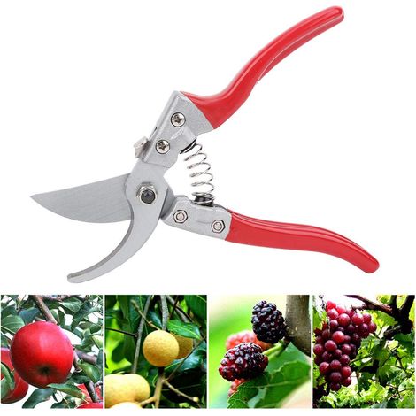 Astschere Mit Rutschfestem Griff, Für Garten, Landwirtschaft, Obstbaumastschneider, Rote Gartenschere, Feine Gartenschere, Obstbaumschere