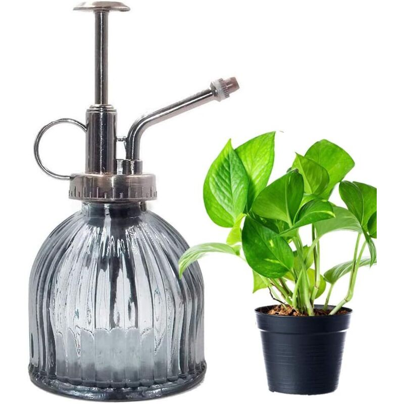 Pflanzensprüher, Glas-sprühflasche Für Blumenwasser