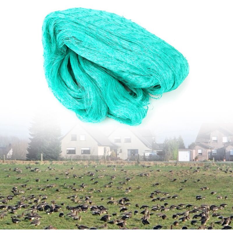 – Vogelschutznetz 4 M X 10 M – Grünes Pe-netz – Schutz Für Obstbäume, Gemüse Und Nutzpflanzen – Reduziert Wind- Und Frostschäden