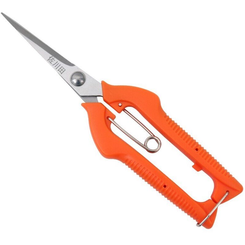 Traubenschere Aus Edelstahl, Spitze Obstschere, Gartenschere, Orangenbaumschere Zum Pflücken Von Paprika