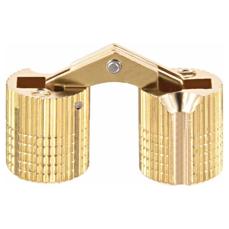 2 Unsichtbare Zylindrische Scharniere Für Schranktüren, 12 Mm Öffnungswinkel Und 180°.