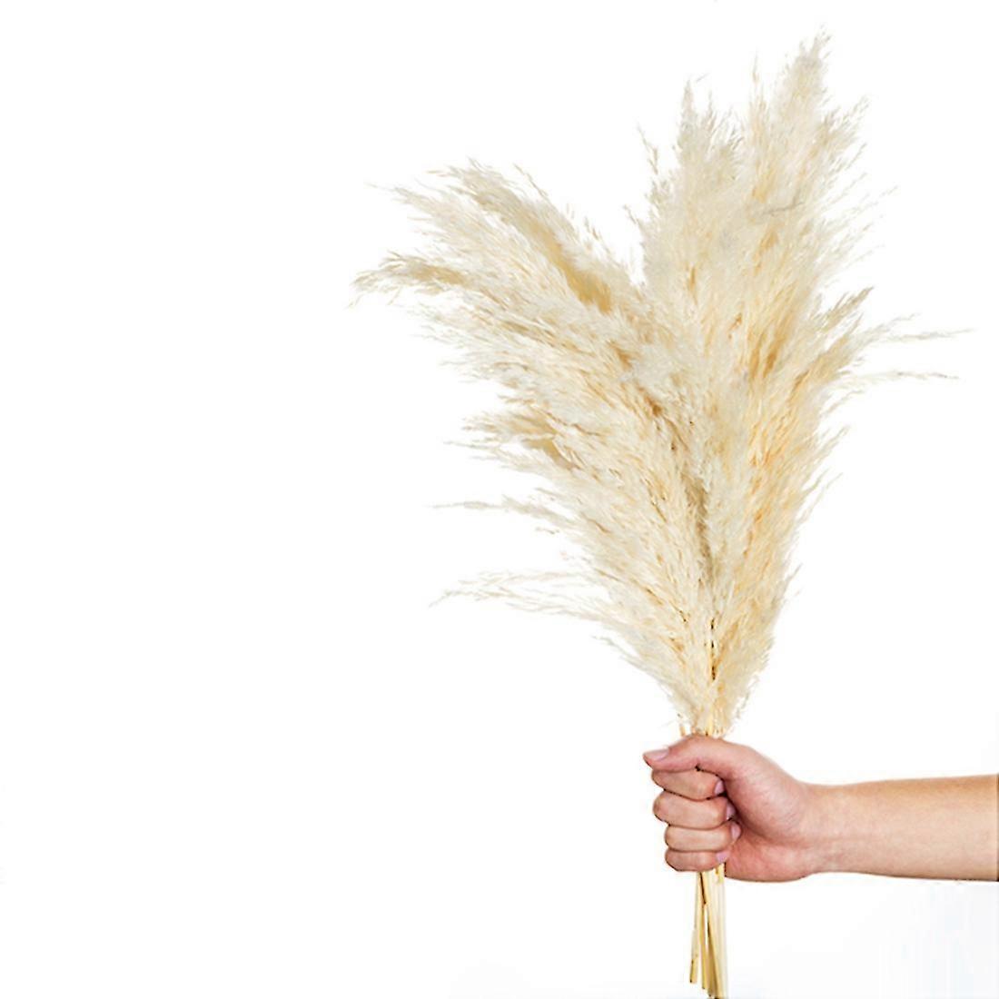 10 Stück Pampasgras R Fluffy Dried Bleached Bouquet Boho Vinta Sty