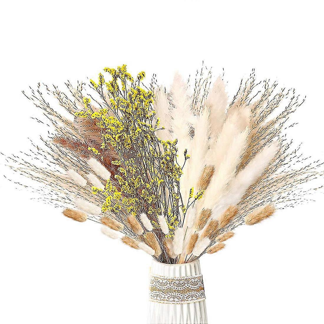 Pampas Gras Getrocknet 46 Stück Set Getrocknete Blumen, Pampas Gras Dekoration, Natürliche Getrocknete Blumen, Bouq