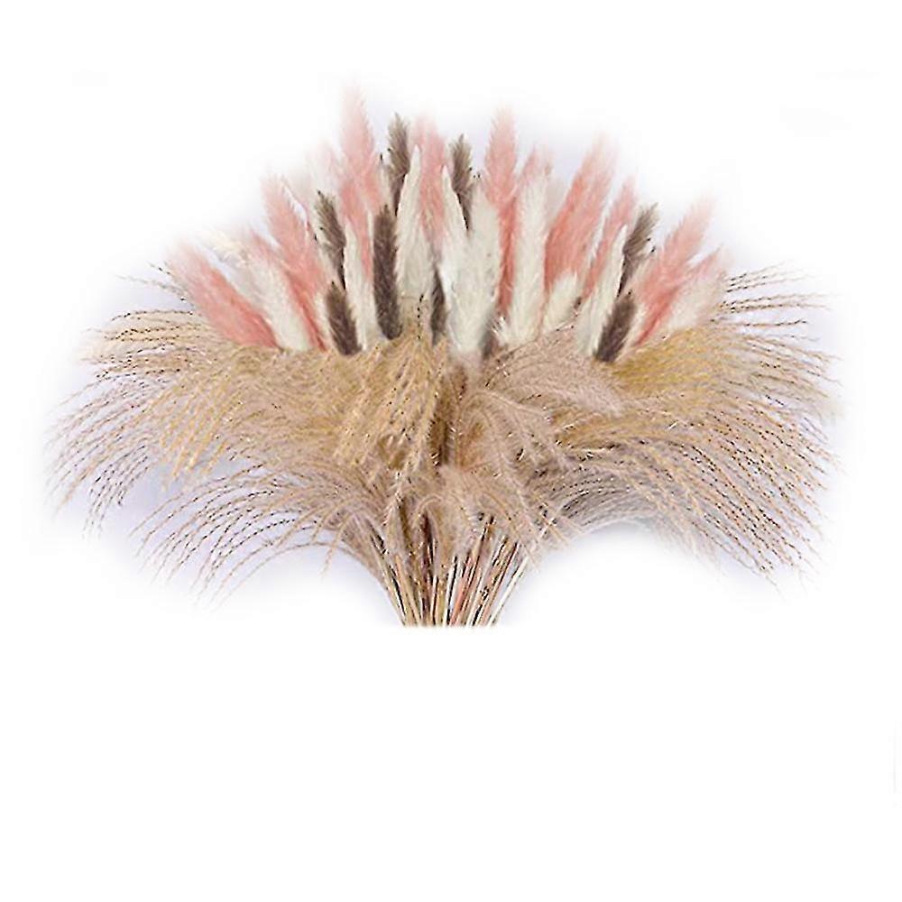 60 Stück Natürliche Getrocknete Pampasgras-ornamente, Flauschiger Getrockneter Blumenstrauß, Geeignet Für Zuhause, Boho-orna