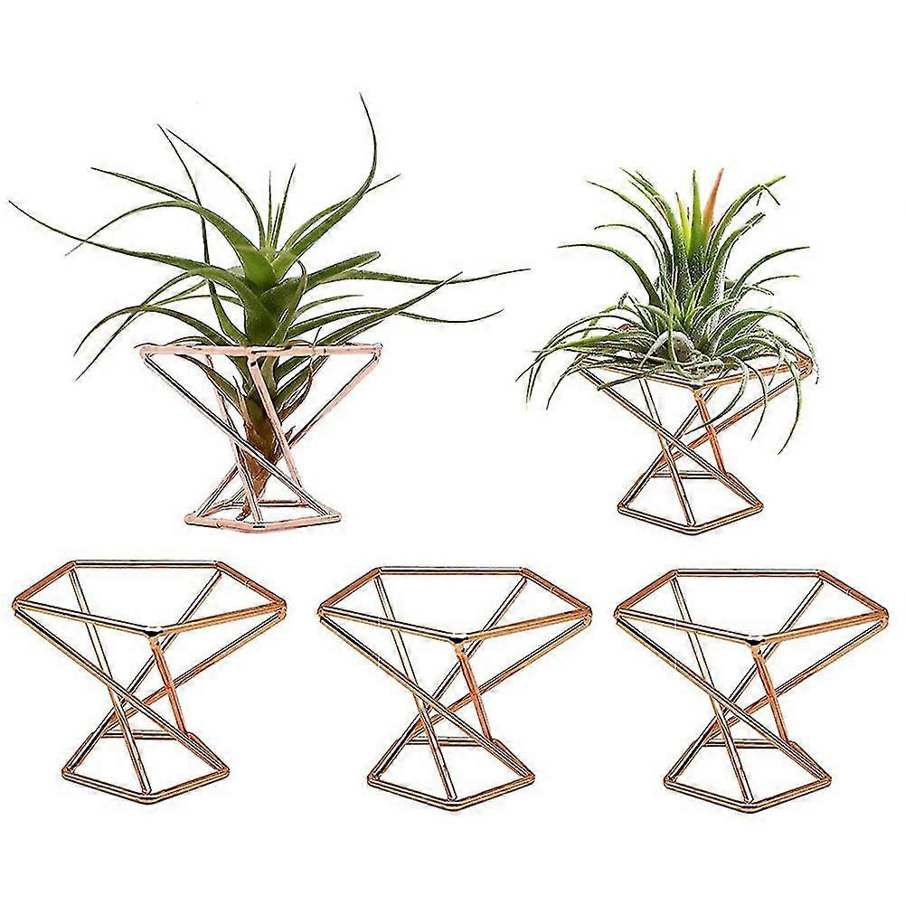 Pack 5 Plant H Plants Hs Tillaas Display Purifying Plant Container Farn D