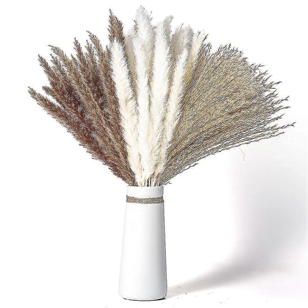 60 Bündel Natürliche Getrocknete Pampas, 17,5" Flauschige Stiele, Für Heimdekoration, Hochzeit