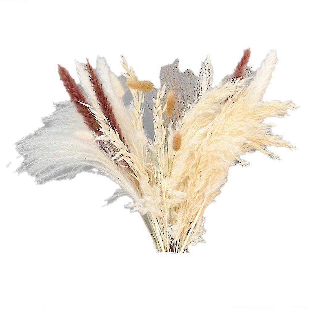 30 Stück Getrocknete Kleine Pampas-blumen Aus Schilfrohr, Künstliche Bankett-echte Pflanzendekoration, Heimdekoration
