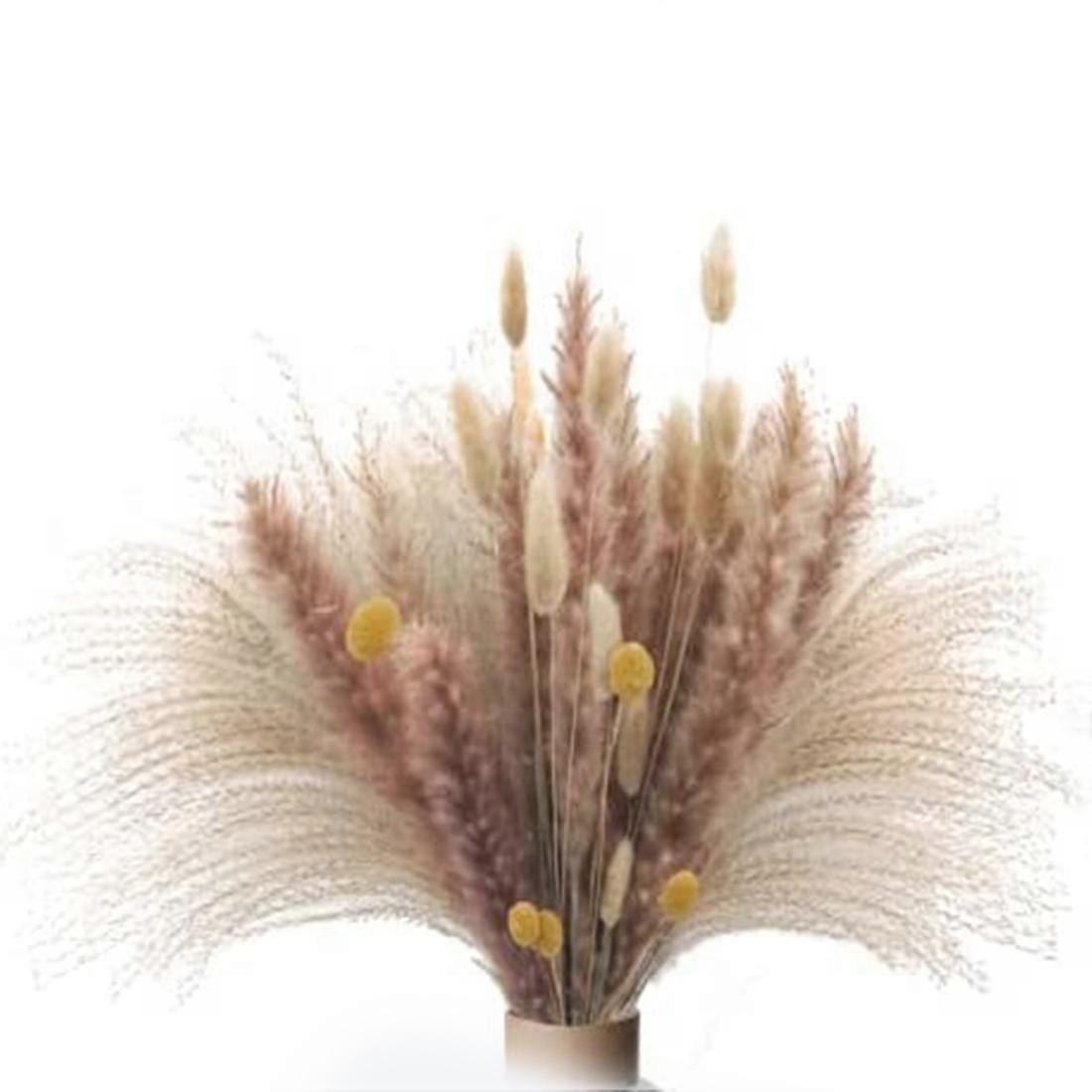 65 Stück Natürlicher Pampasgras-blumenstrauß, Getrocknete Flauschige Pampas Böhmische Dekorative Pflanze, Getrocknete Blumen Für