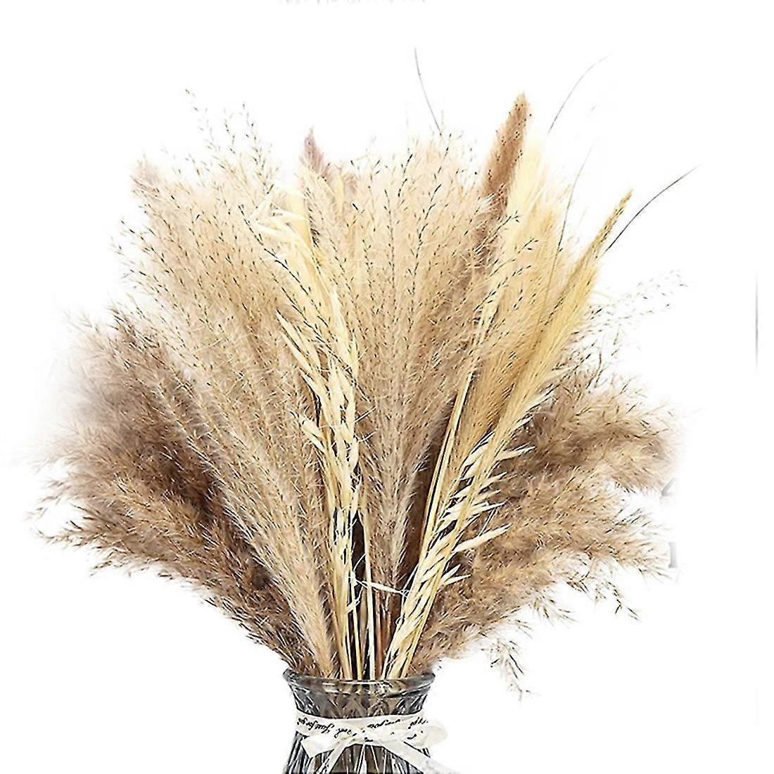 Natürliches Getrocknetes Pampasgras, 65 Stück, Großes Pampasgras-dekor. Große, Pompöse Gras-hochzeitsblumen, Flauschig