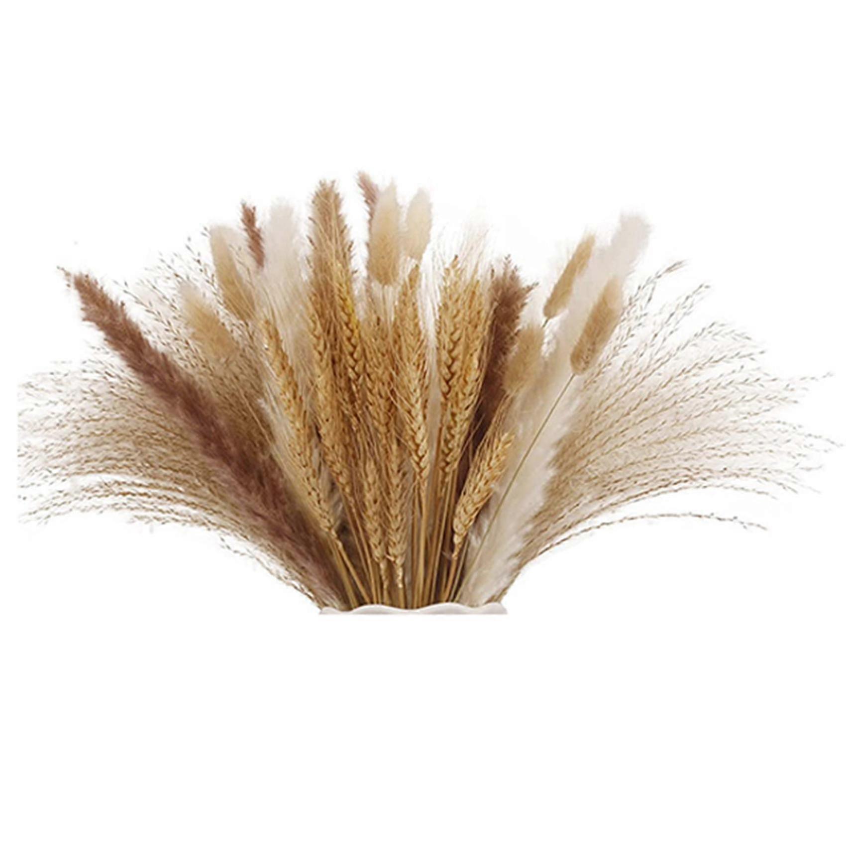Pampas Getrocknetes Gras Lagurus Getrockneter Schilfgrasstrauß Getrocknete Blumen Weizen Getrocknete Arrangements Boho Home