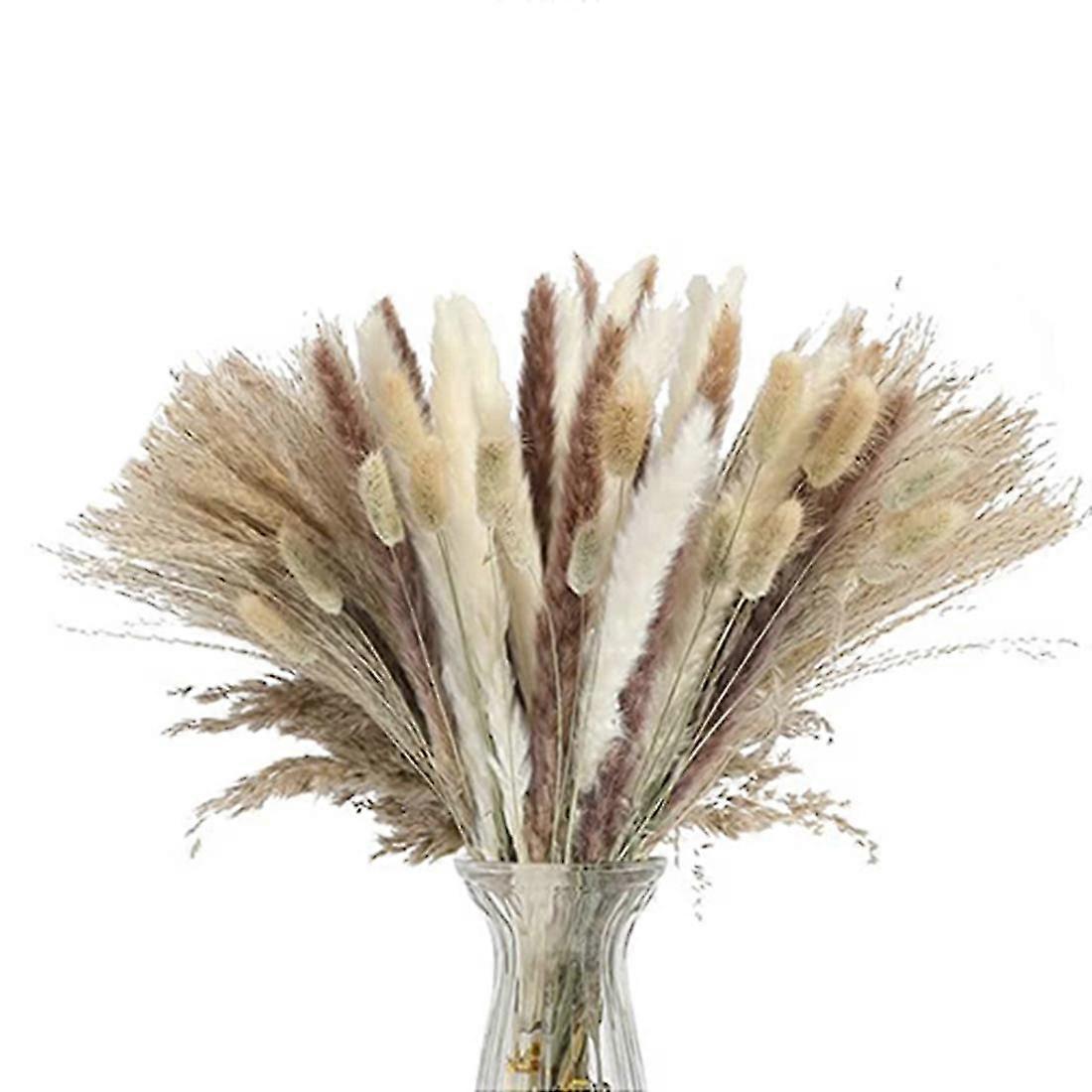 Pampasgras 85 Stück Getrocknetes Pampasgras R - R Bouquet-getrocknet Für Ric-hochzeitstisch