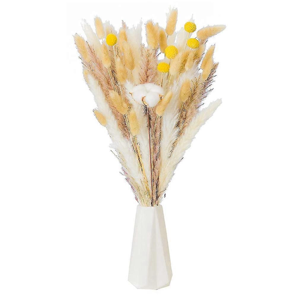 Getrocknetes Pampasgras-ornament, Natürliches Pomba Für Blumenarrangements, Hochzeit, Heimdekoration, Pampasgras-rabb