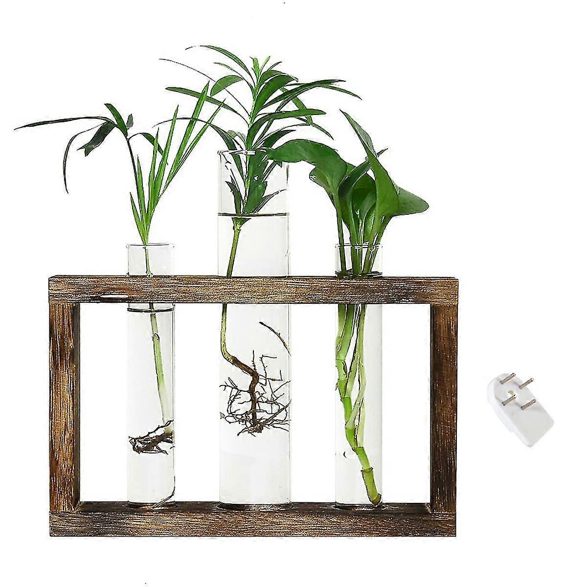 Pflanzenvermehrungsstationen, Wandhängende Terrarien, Holzständer Und Tischglas Mit 3 Aufsätzen