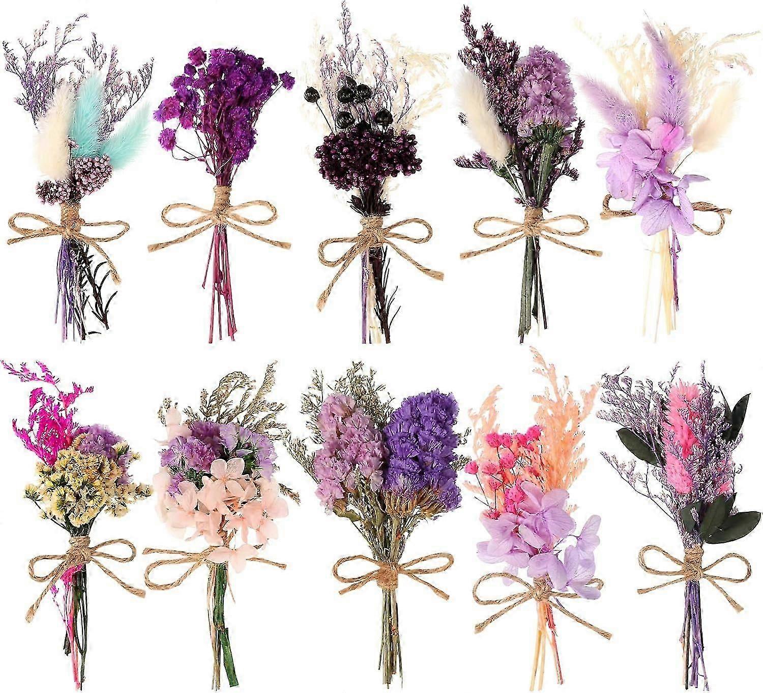Sbsg 10er-pack Mini-blumenstrauß, Verschiedene Violette Trockenblumen-kombinationen, Einschließlich Echtem, Natürlichem Pampasgras, Vergissmeinnicht, Babys Atem, Trocken, Wi