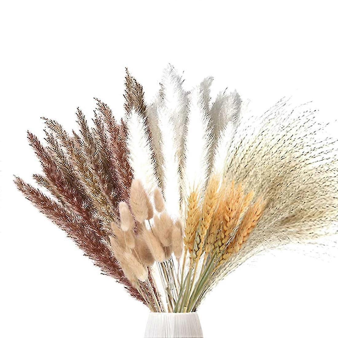 70 Stück Getrocknetes Pampasgras, Natürliche Getrocknete Pampasgras-dekoration, Getrocknete Blumen, Pflanze