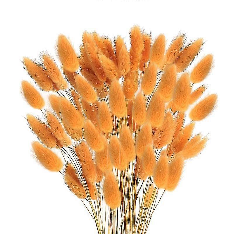 60 Stück Herbst-trockenblumen, Hasenschwänze, Getrocknete Blumen, Lagurus Ovatus, Kaninchenschwanzgras Für Getrocknete Flora