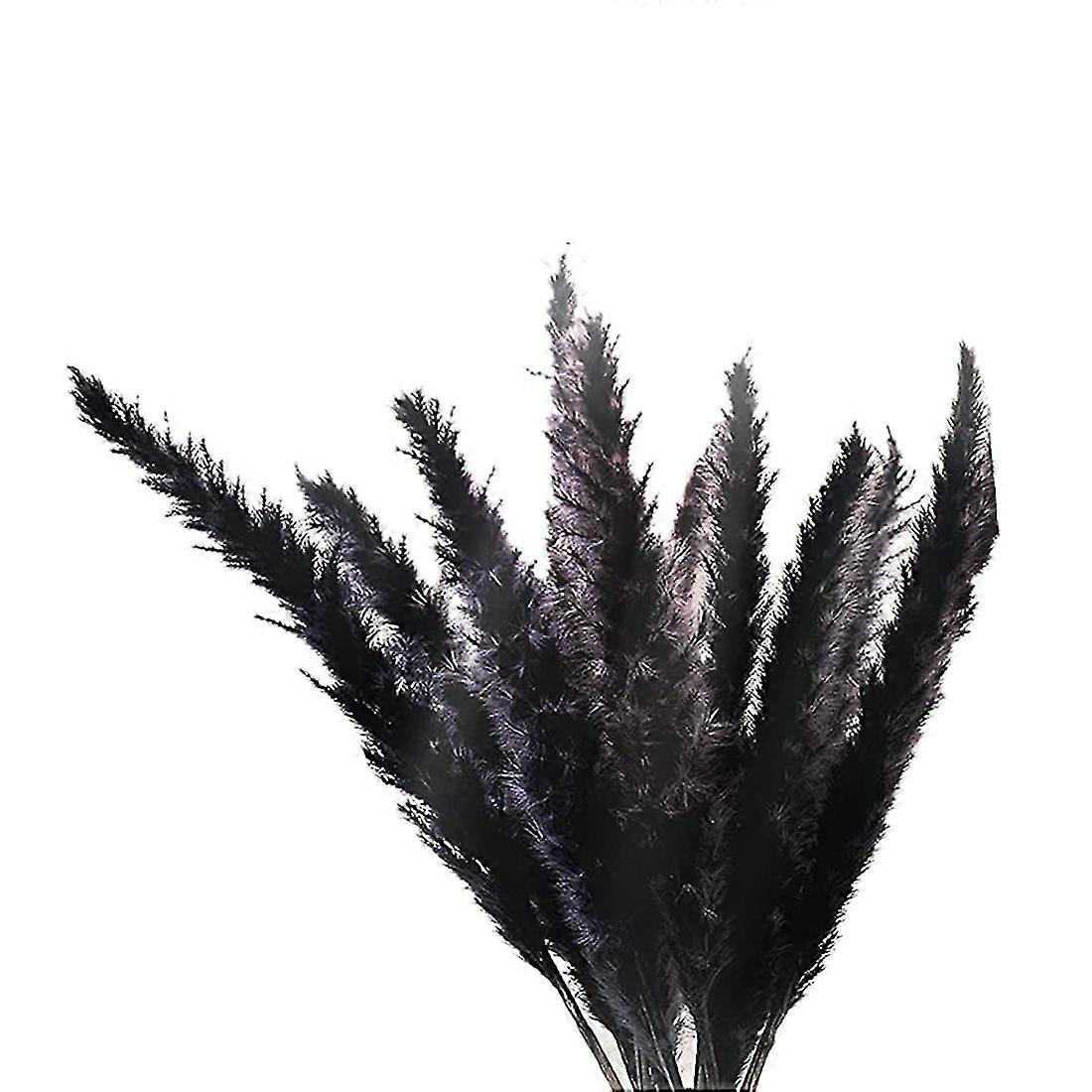 30 Stück Schwarzes Pampasgras, 43,2 Cm, Natürlich, Getrocknet, Flauschig, Kleine Stängel Für Zuhause, Hochzeit, Dekoration, Blumenarrangement