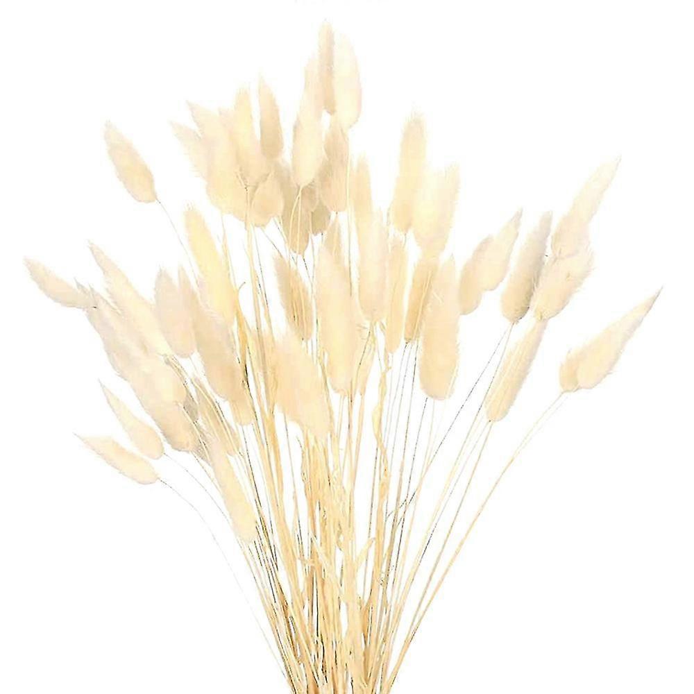 Getrocknete Kaninchenschwänze, Natürliche Blumenarrangements, Hochzeit, Getrocknete Blumen, Blumenstrauß, Zuhause, Boho-dekor