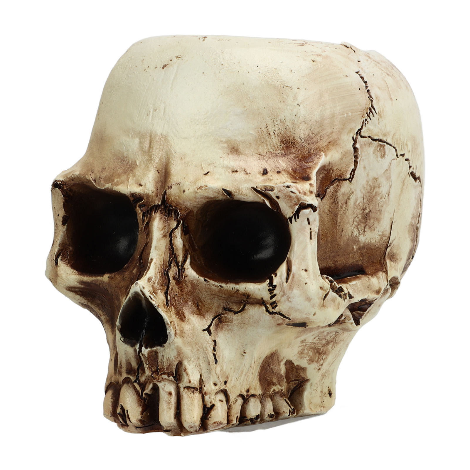 Totenkopf-blumentopf Aus Kunstharz, Hochfest, Transparent, Totenkopf-form, Pflanzgefäß Für Zuhause, Büro, Schreibtischdekoration
