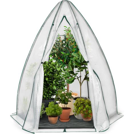 Idmarket – Kuppelförmiges Wintergewächshaus 160 X 160 X 180 Cm – 130 G/m² Pe-folie – 90 G/m² Bodenplane – Reißverschlusstür Für Einfachen Zugang