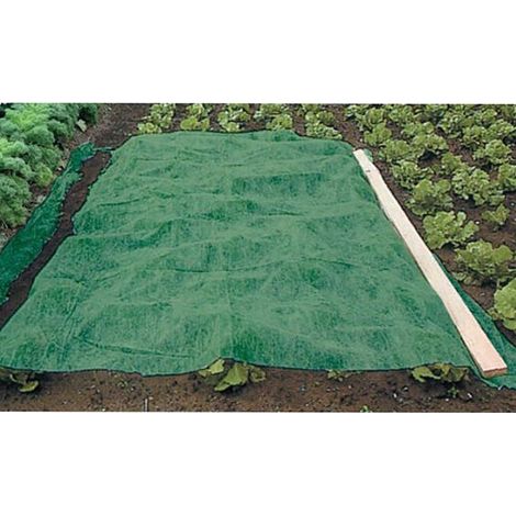 Werka Pro – Grünes Wintervlies 90 G/m² 1 X 25 M – Kälteschutz Für Pflanzen – Strapazierfähiges Und Witterungsbeständiges Polypropylen
