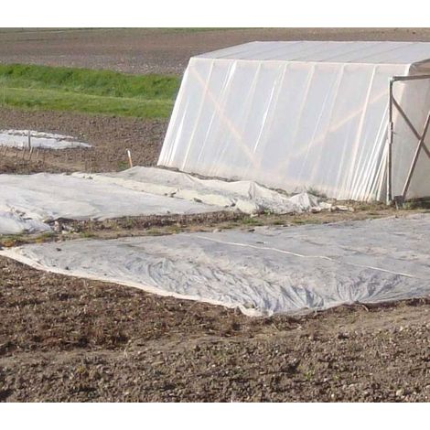 Direktnetz – Winterabdeckung 100 M – Breite 1,60 M – Gewicht 30 G/m² In Pp – Wärme- Und Windschutz Für Kulturpflanzen