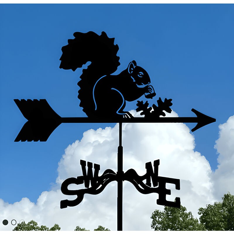Wetterfahne Aus Edelstahl In Form Eines Eichhörnchens, Windrichtungsanzeiger Für Den Garten, Mit Dachhalterung, Metalldekoration Für Dächer, Bauernhöfe Und Höfe Im Freien