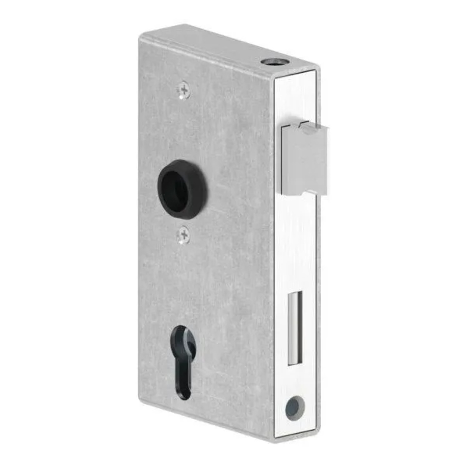 FeNau Anti-Panikschloss Verzinkt 30 X 94 X 172 mm Mit Wechselfunktion E DIN R&L
