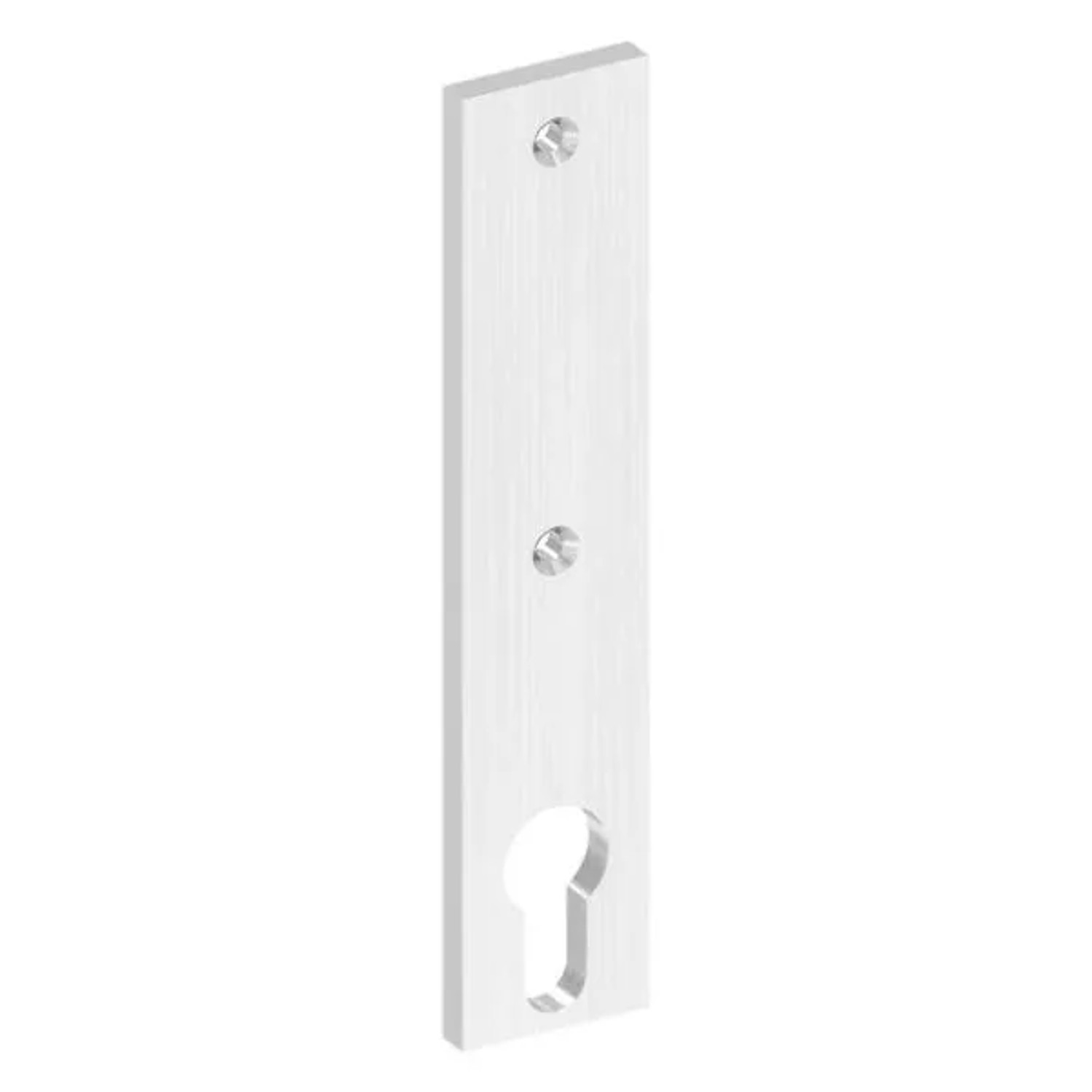 FeNau Langschild Edelstahl V2A 32 X 156 X 6 mm Geschliffen Korn 240 Für Schlosskästen