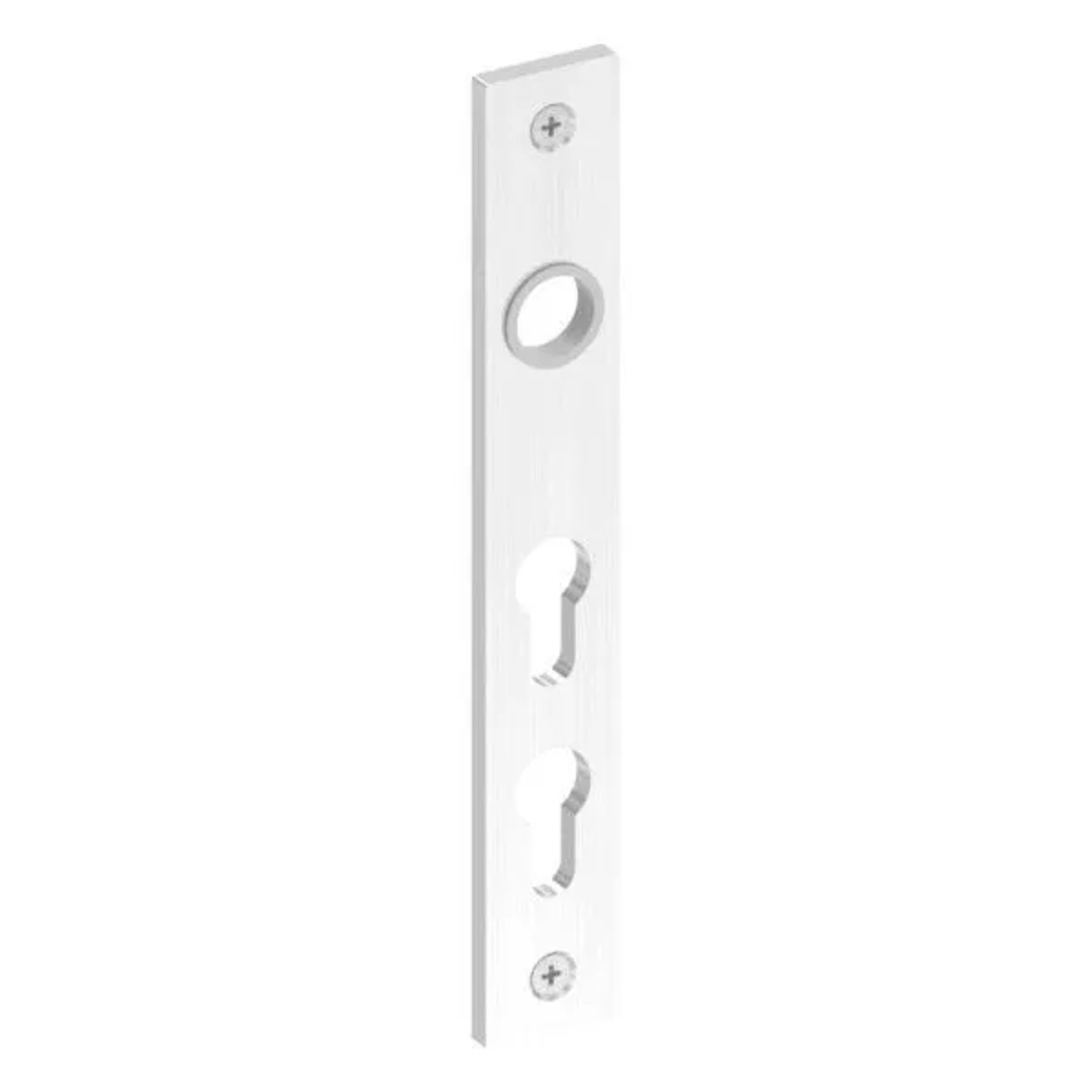 FeNau Langschild Edelstahl V2A 32 X 220 X 6 mm Für Zwei Profilzylinder Geschliffen K240
