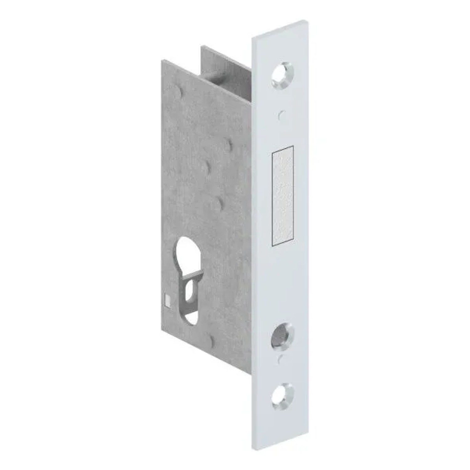 FeNau Rohrrahmen-Riegelschloss Zinkdruckguss Dornmaß 40 mm Riegelausschluss 22 mm Für Profilzylinder