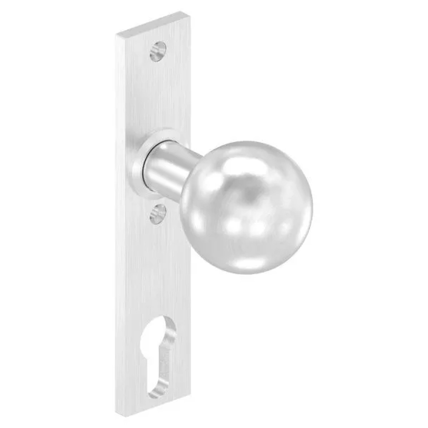 FeNau Türknopf Edelstahl V2A Ø 50 mm Mit Langschild Feststehend Geschliffen Korn 240