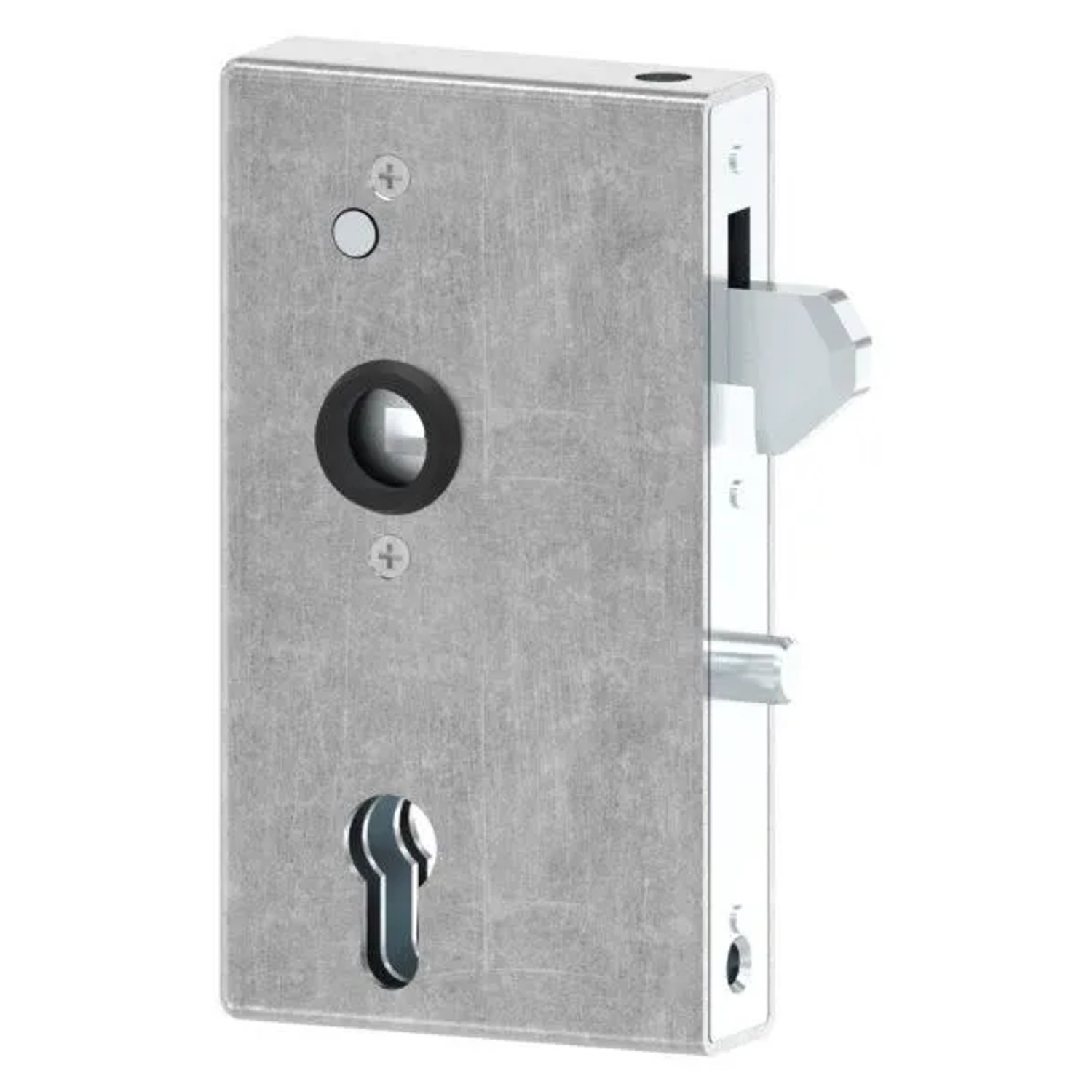FeNau Schlosskasten Verzinkt 30 X 94 X 170 mm Mit Hakenschloss