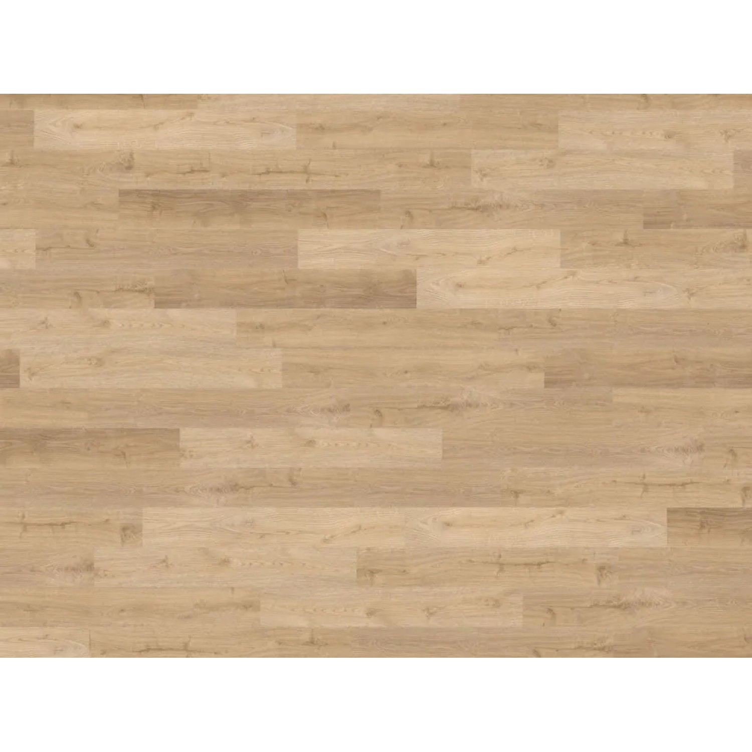 WICANDERS Korkboden Naturboden Wood Start Green Design Arabian Desert Oak