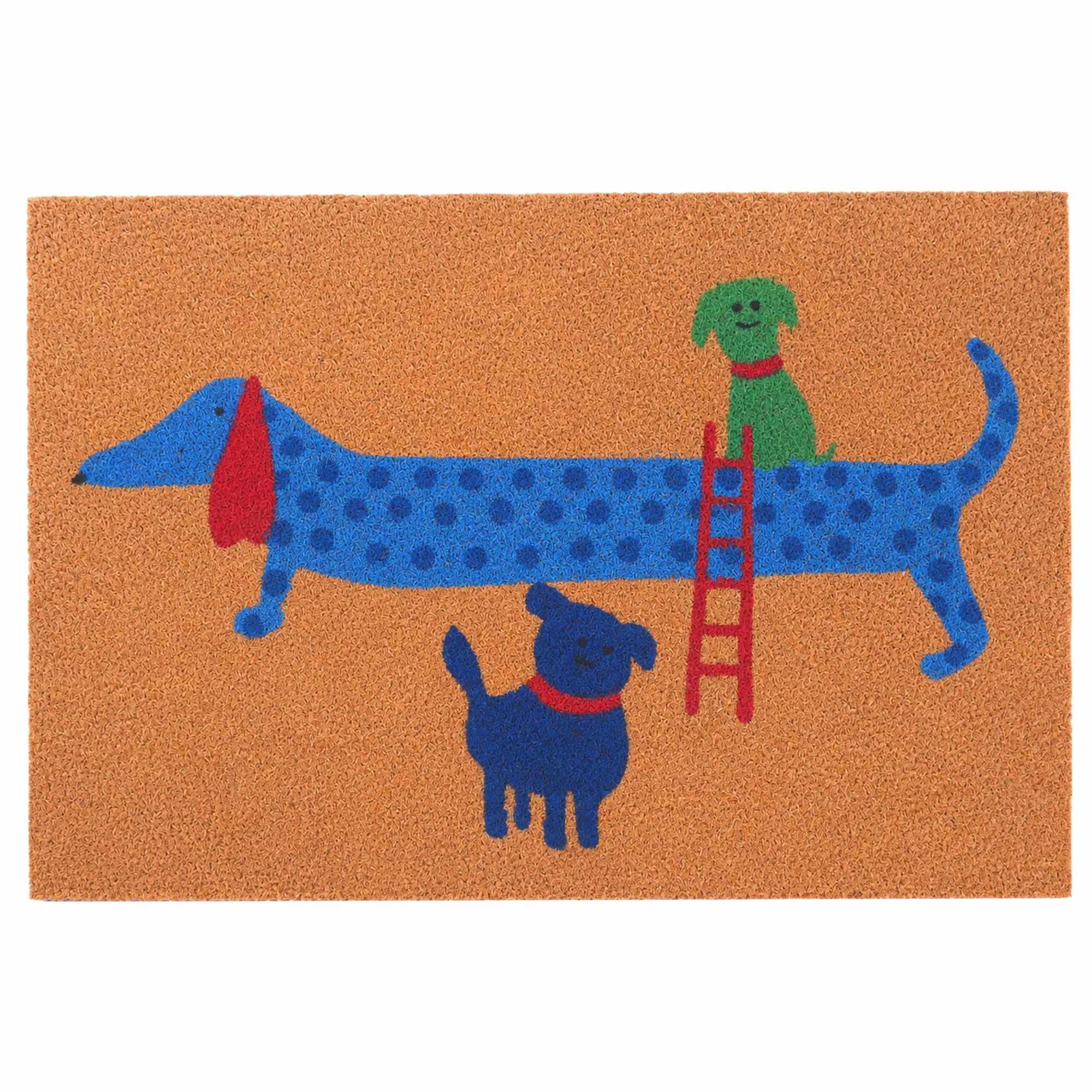 Coconut Animal Doormat, 60x40 Cm, Non-slip Backing