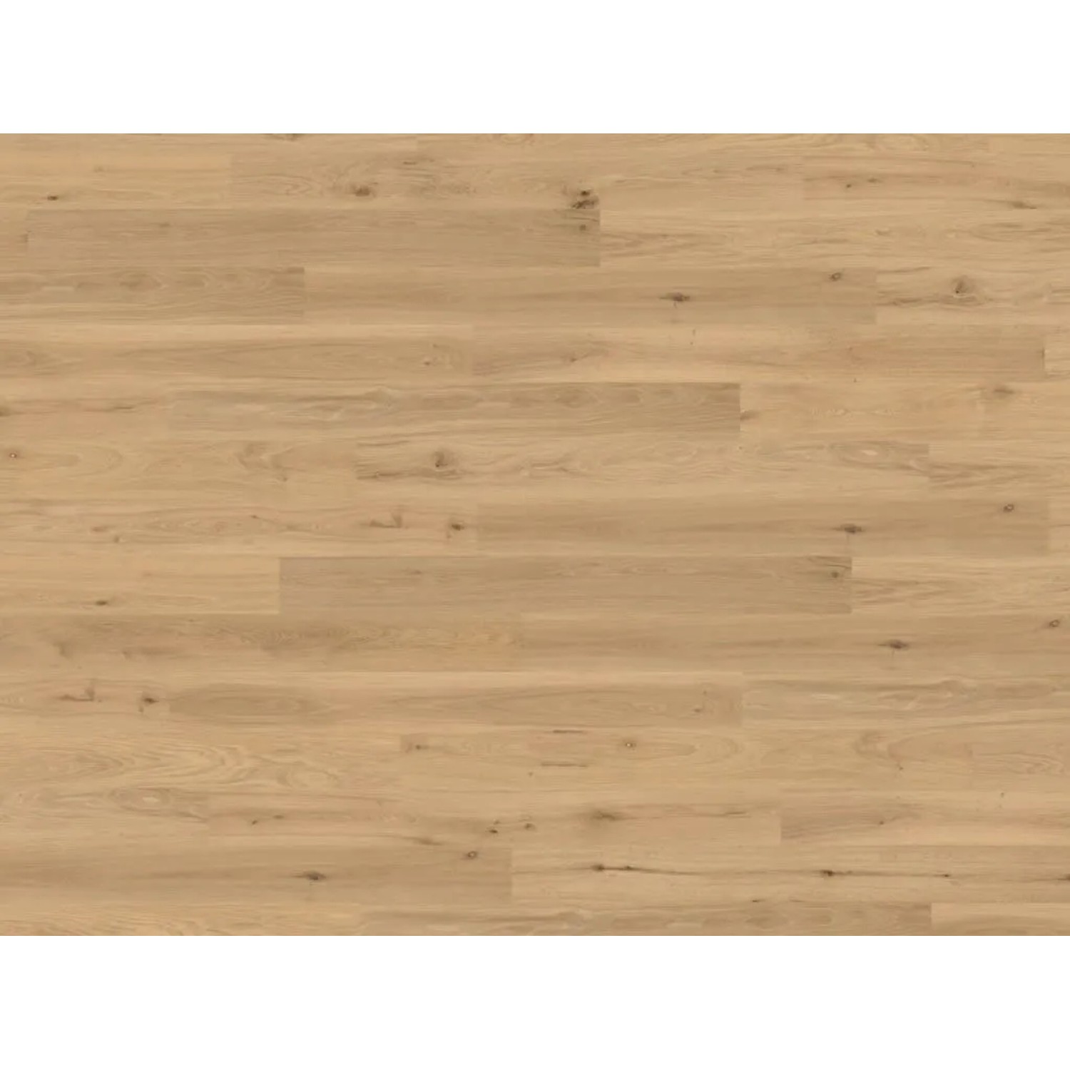 WICANDERS Korkboden Naturboden Wood Start Green Design Natural Oak Almond