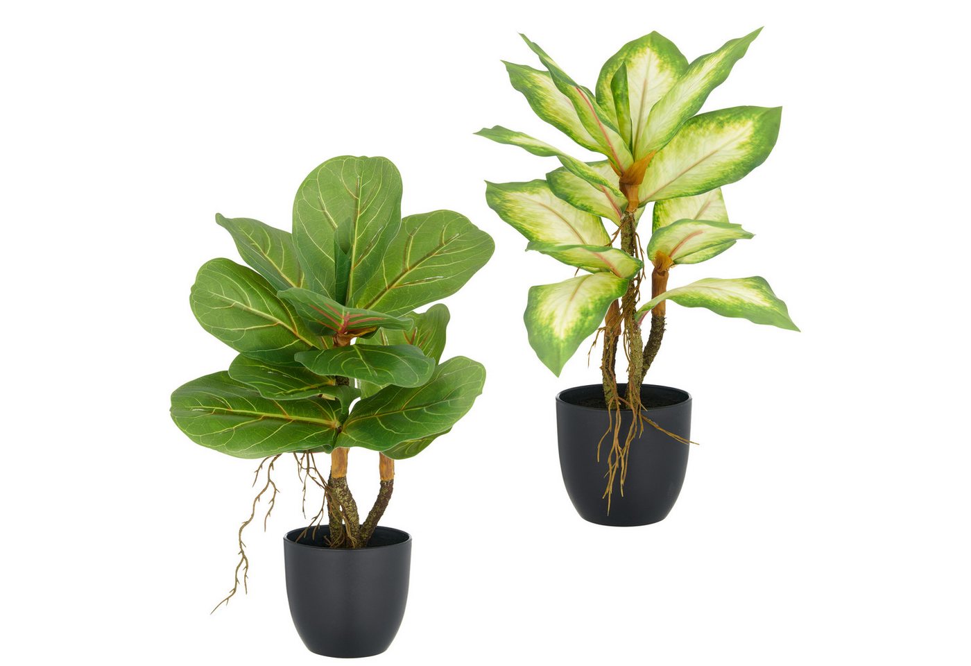 Kunstpflanze Ficus und Dieffenbachia, Creativ green, Höhe 34 cm, mit Luftwurzeln