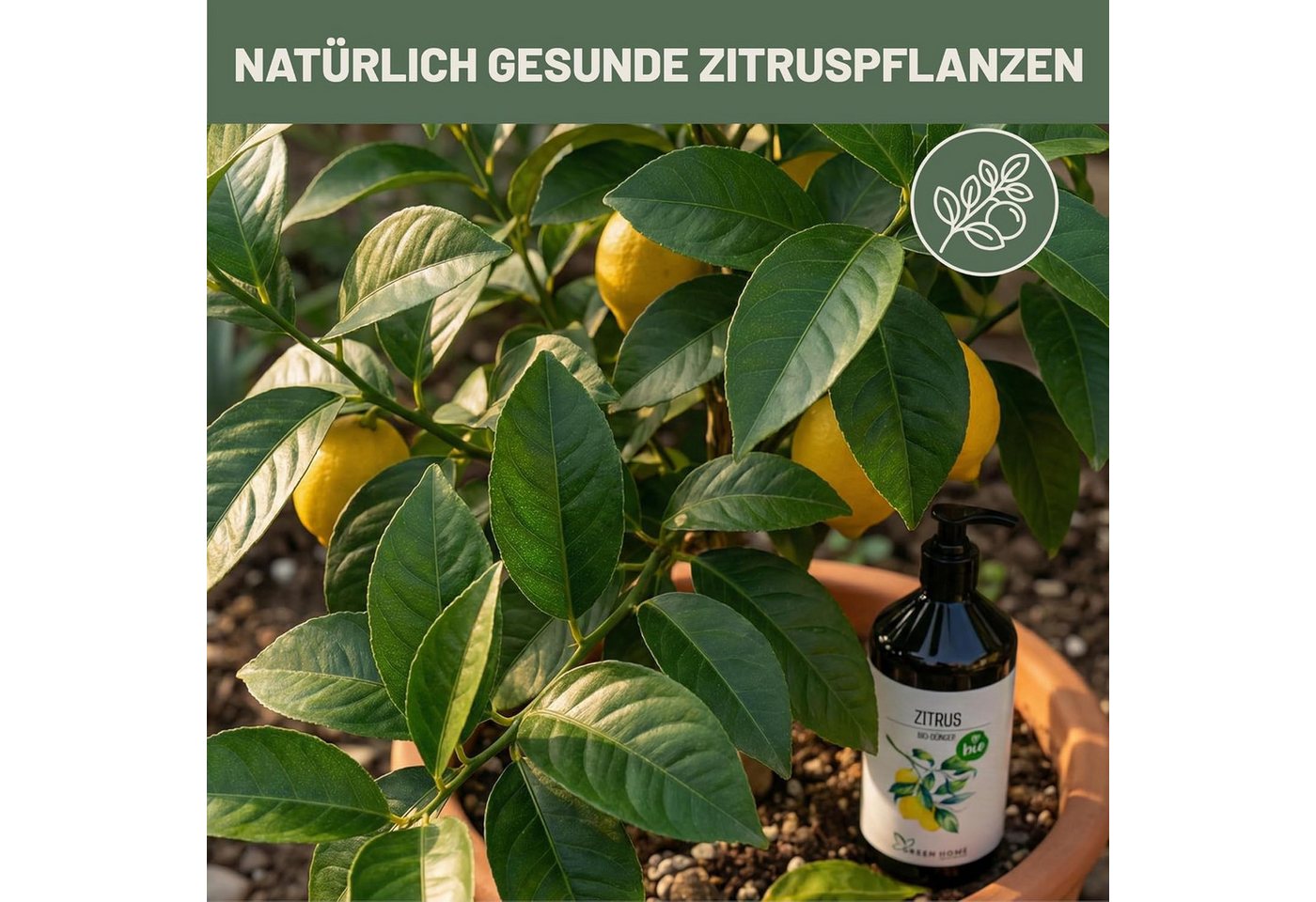GREEN HOME LOVE NATURE Obstdünger Bio-Dünger flüssig NPK 3+2+6 für Zitrus & Zitronenbäume, Zitrus, 100 % bio, organisch-mineralisch, extra Kalium, Dosierpumpe Bild 3