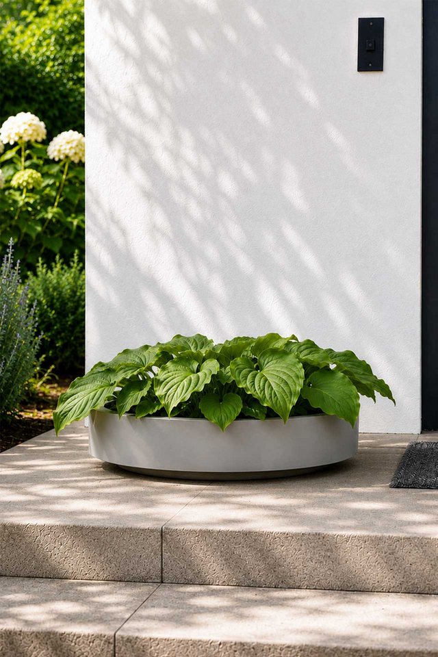 VIVANNO Pflanzschale Fiberglas ESCADA LOW Schale - Betongrau Beton-Design (1 St), 70x17 cm Bild 5