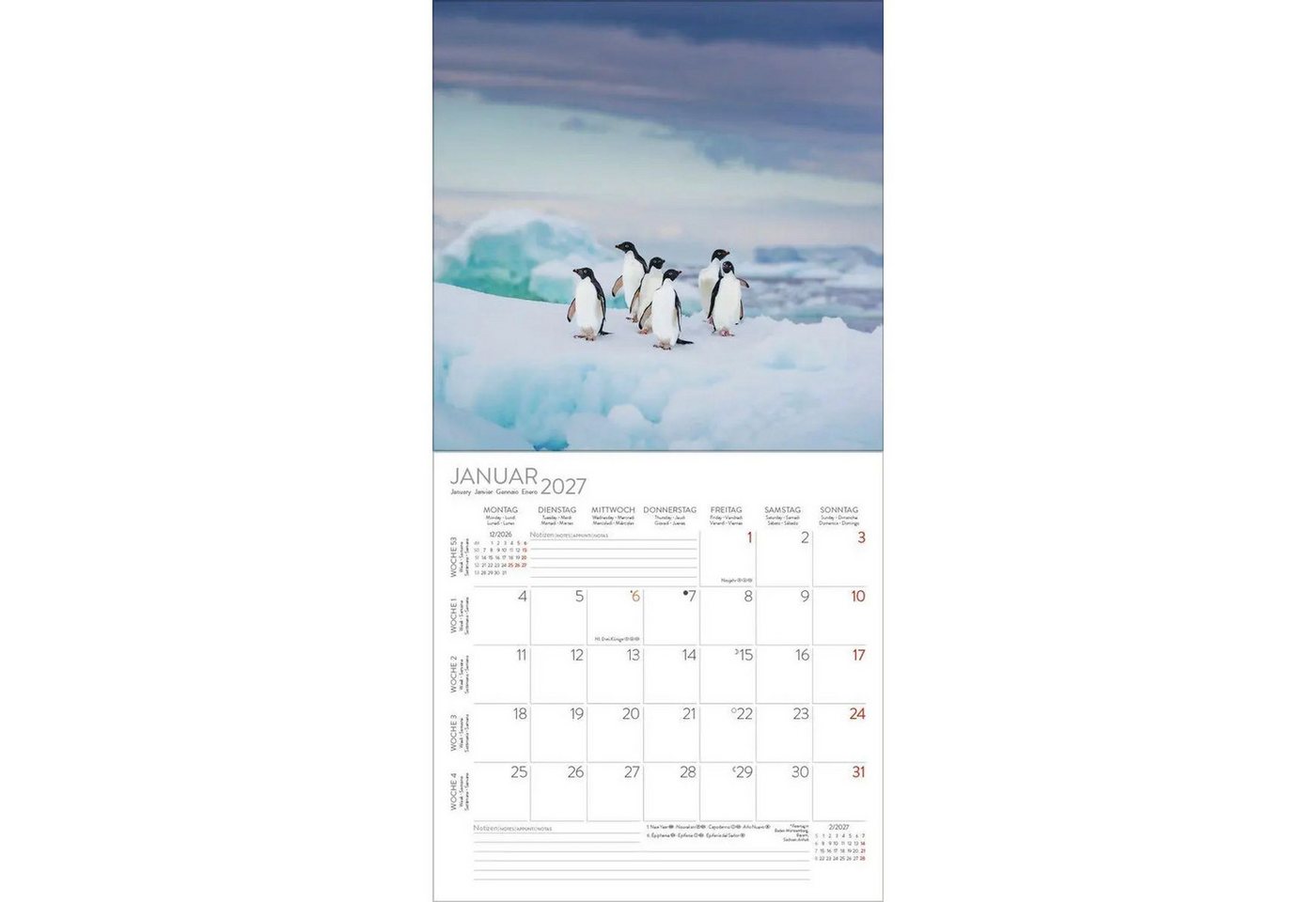 Korsch Verlag Wandkalender Pinguine 2027 Bild 2