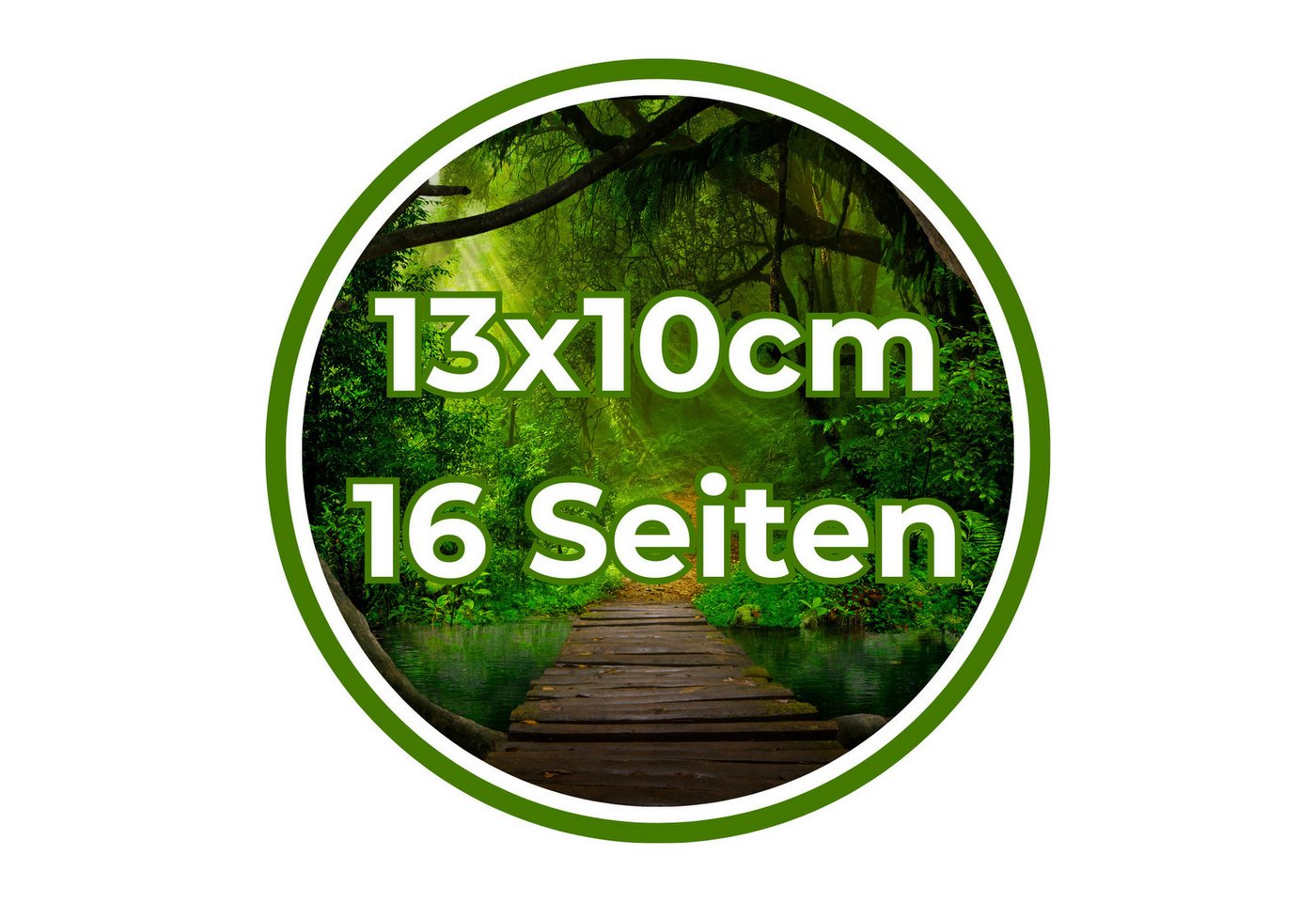 TE-Trend Stickerbuch 12 Stück Dschungel Motiv Malheft Ausmalheft Set mit je 15 Sticker, mit 15 Halloween Stickern Bild 2