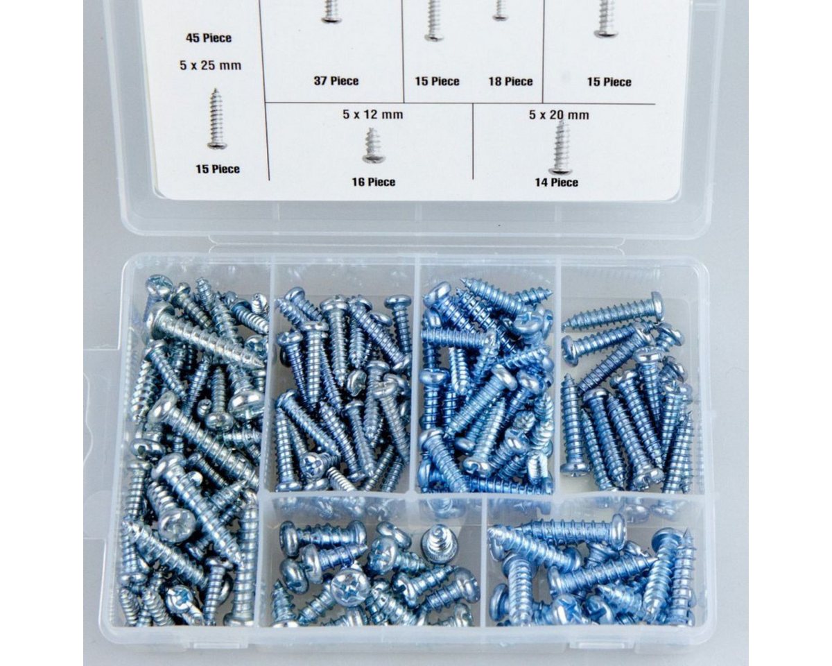 Benson Tools Schrauben-Set Verzinkte Kreuzschlitz-Blechschrauben im 175tlg. Sortimentskasten, (175 St), universell einsetzbar Bild 2