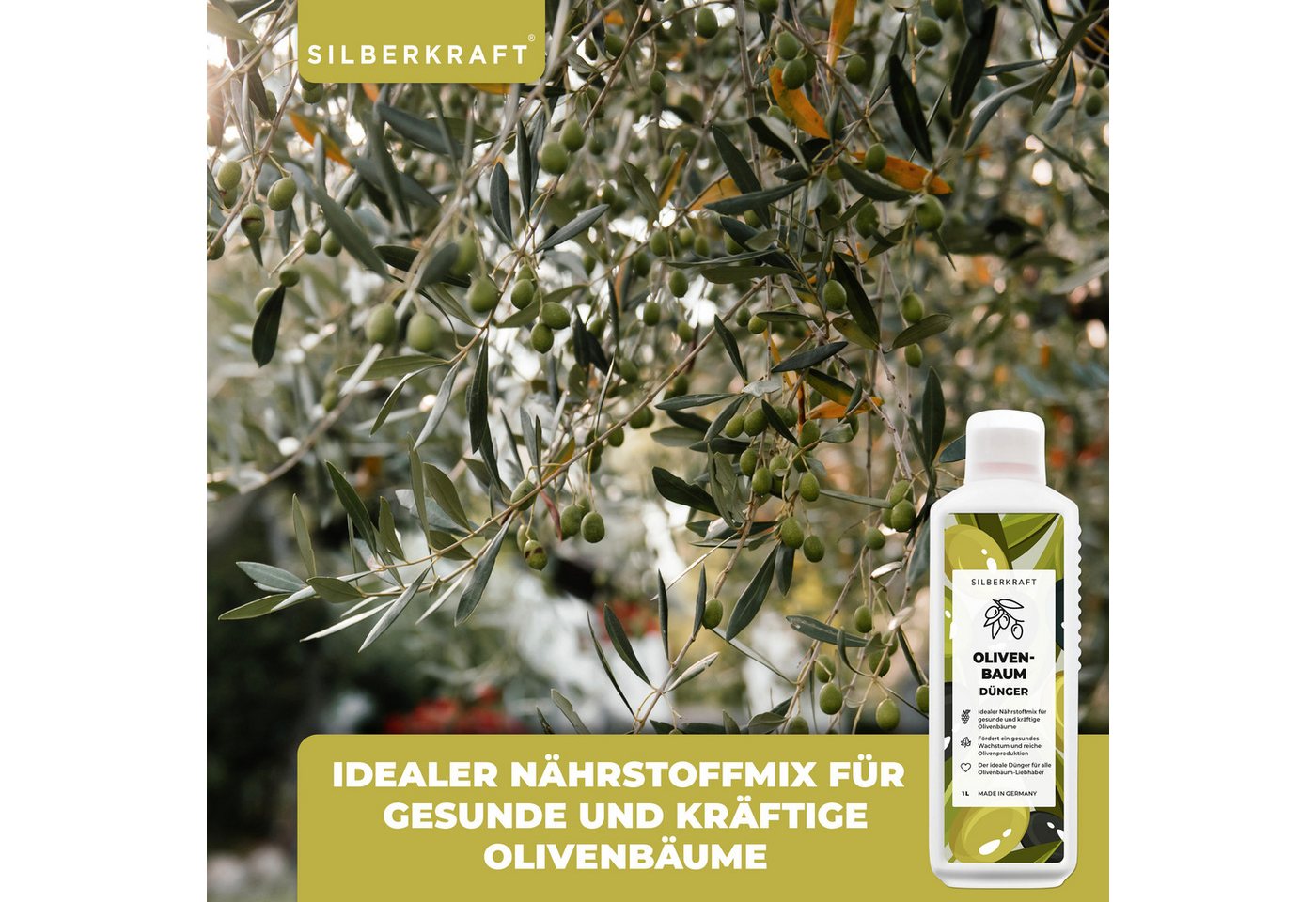 Silberkraft Pflanzenstärkungsmittel Olivenbaumdünger - Mineralischer NPK Flüssigdünger mit Stickstoff, 1 L, Mit Stickstoff, Phosphor & Kalium, Spezialdünger für Oliven & Mediterranes – Für starkes Wachstum