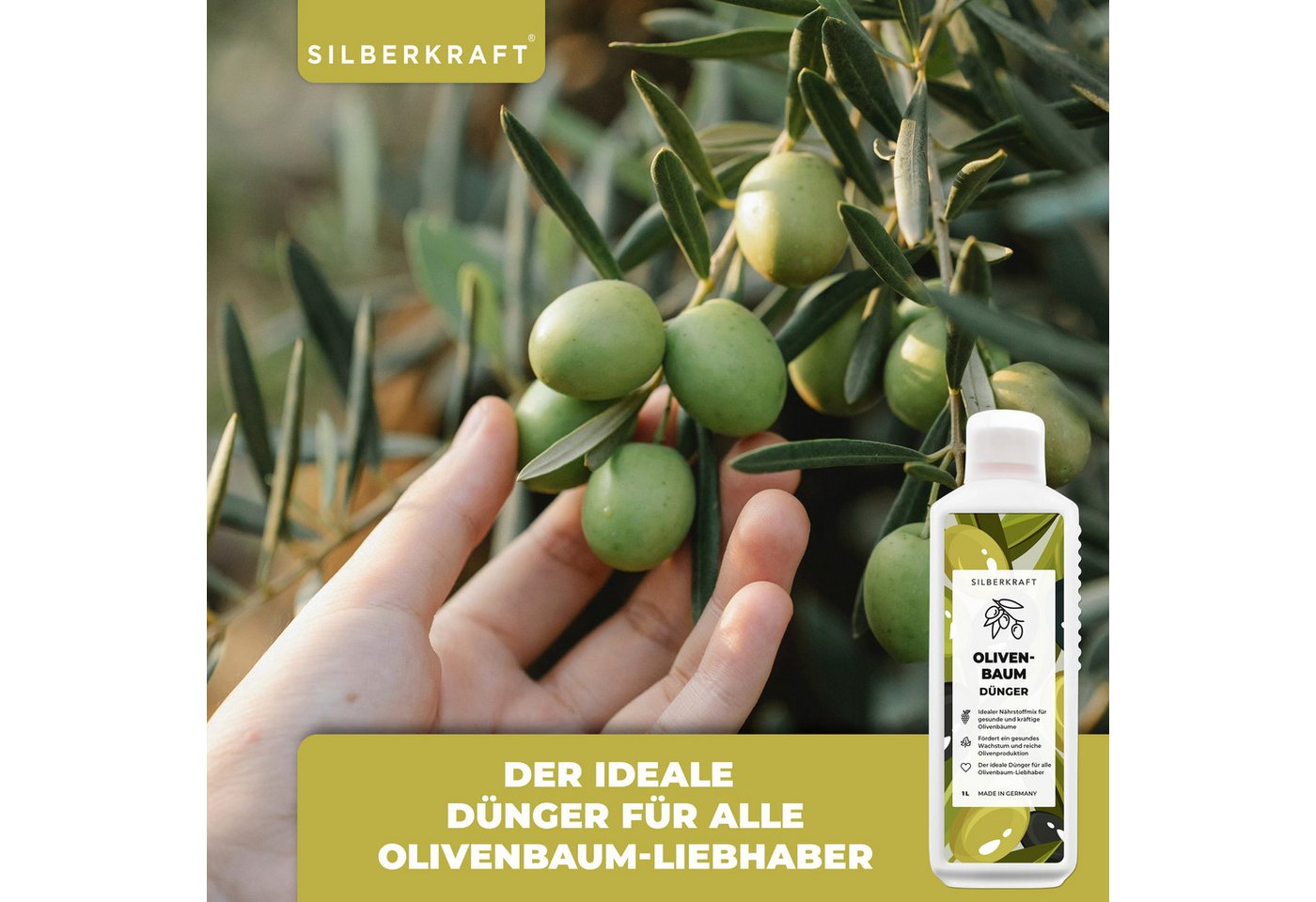 Silberkraft Pflanzenstärkungsmittel Olivenbaumdünger - Mineralischer NPK Flüssigdünger mit Stickstoff, 1 L, Mit Stickstoff, Phosphor & Kalium, Spezialdünger für Oliven & Mediterranes – Für starkes Wachstum Bild 5