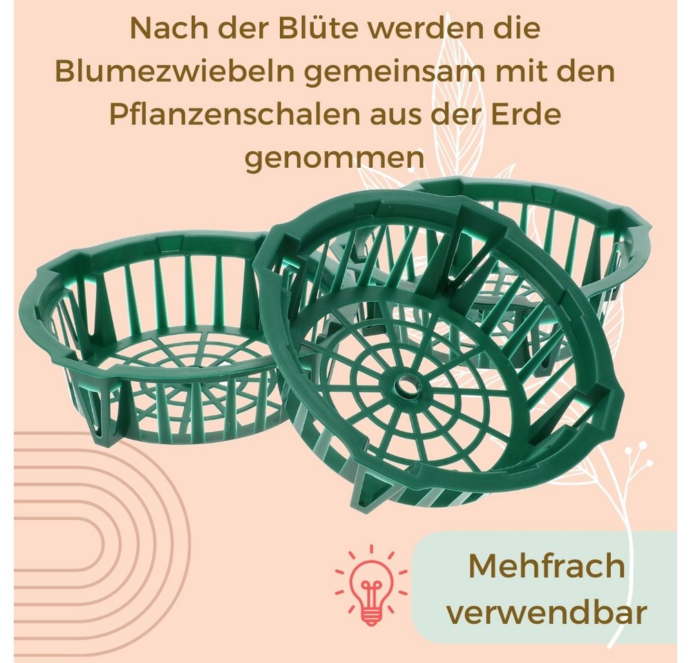 GarPet Pflanzschale Pflanzkörbe für Blumenzwiebeln Pflanzkorb Blumenzwiebel Tulpenzwiebel Bild 2