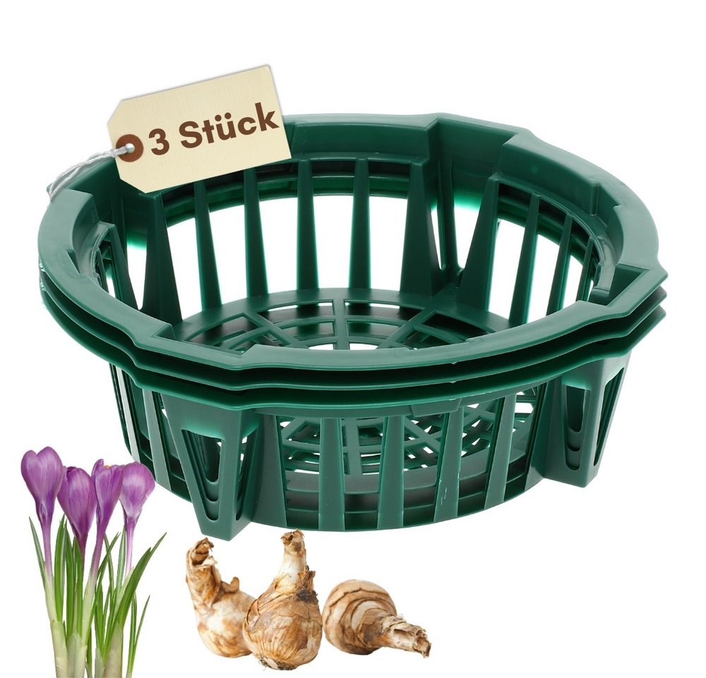 GarPet Pflanzschale Pflanzkörbe für Blumenzwiebeln Pflanzkorb Blumenzwiebel Tulpenzwiebel Bild 3
