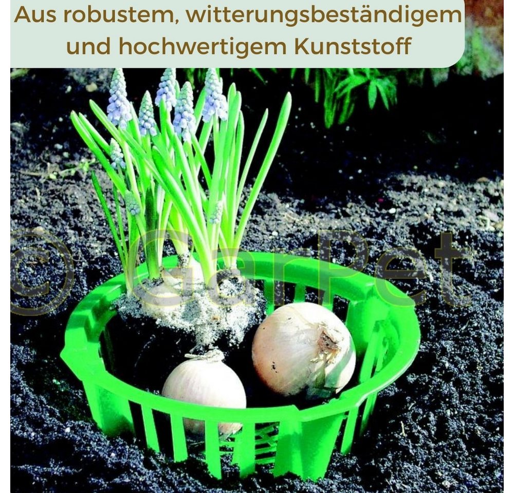 GarPet Pflanzschale Pflanzkörbe für Blumenzwiebeln Pflanzkorb Blumenzwiebel Tulpenzwiebel Bild 5