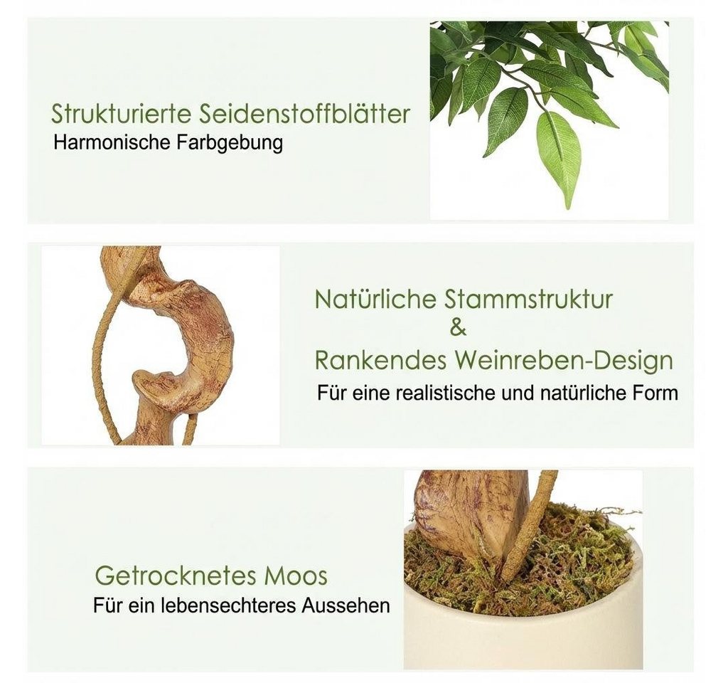 Kunstpflanze 1.5/1.8m Ficus Benjamini Ficusbaum mit Topf, Hausprofi, Höhe 150 cm, Birkenfeige mit Echtholzstamm, pflegeleicht & immergrün Bild 2