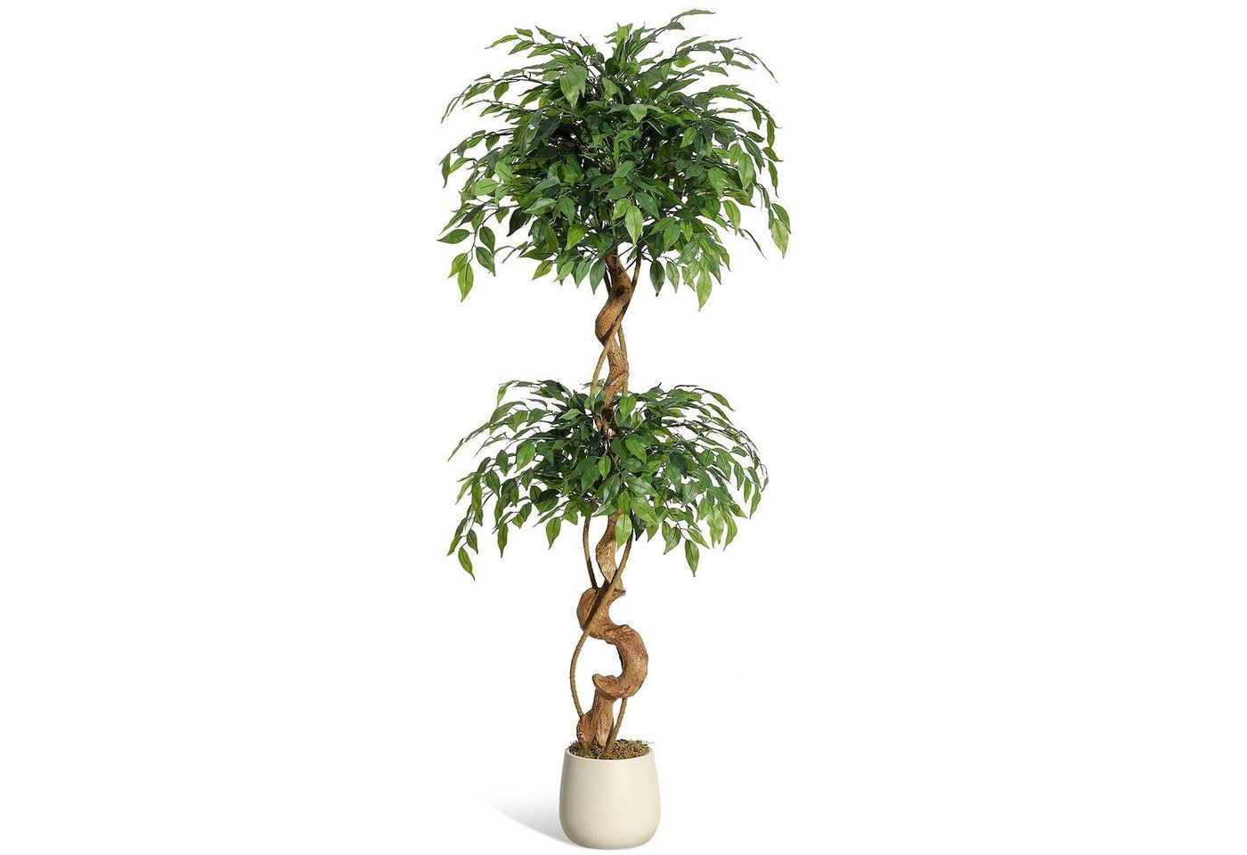 Kunstpflanze 1.5/1.8m Ficus Benjamini Ficusbaum mit Topf, Hausprofi, Höhe 150 cm, Birkenfeige mit Echtholzstamm, pflegeleicht & immergrün Bild 3