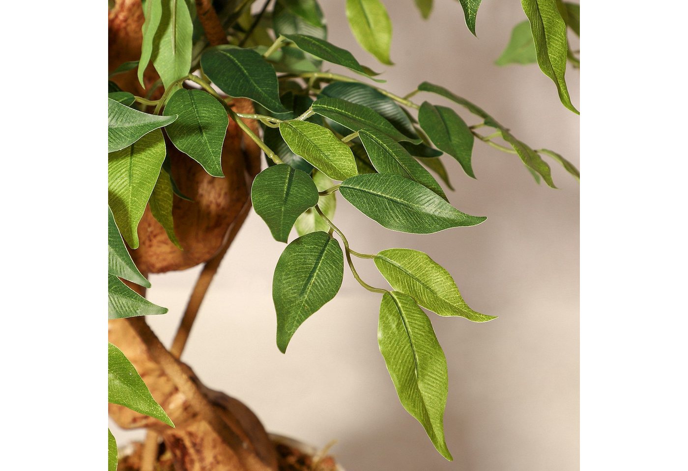 Kunstpflanze 1.5/1.8m Ficus Benjamini Ficusbaum mit Topf, Hausprofi, Höhe 150 cm, Birkenfeige mit Echtholzstamm, pflegeleicht & immergrün Bild 4